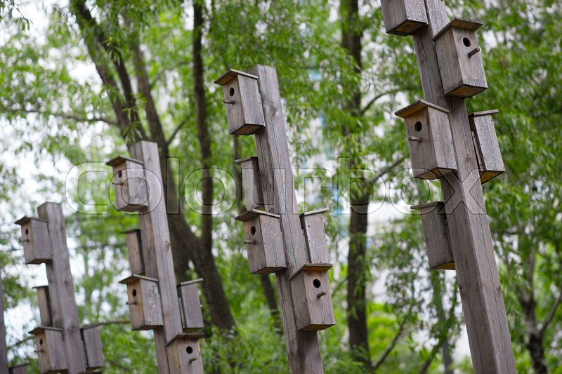 Vertical Bird Feeder City Park Bokeh Stock Image Colourbox