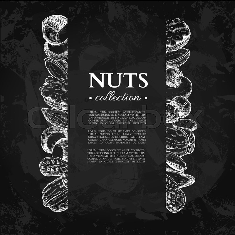 Nuts Vector Vintage Frame Stock Vector Colourbox