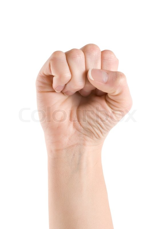 Human hand isolated on a white ... | Stock image | Colourbox