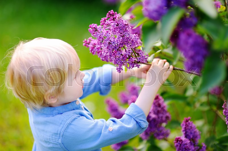 Cute Little Blonde Hair Boy Enjoy Stock Image Colourbox