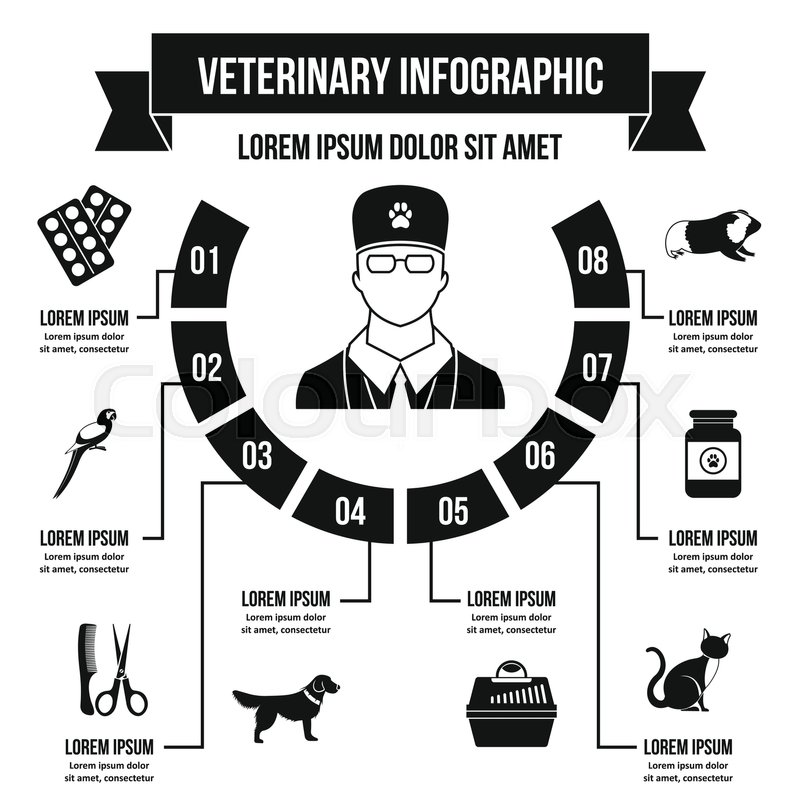 Vet Clinic Infographic Banner Concept Stock Vector Colourbox