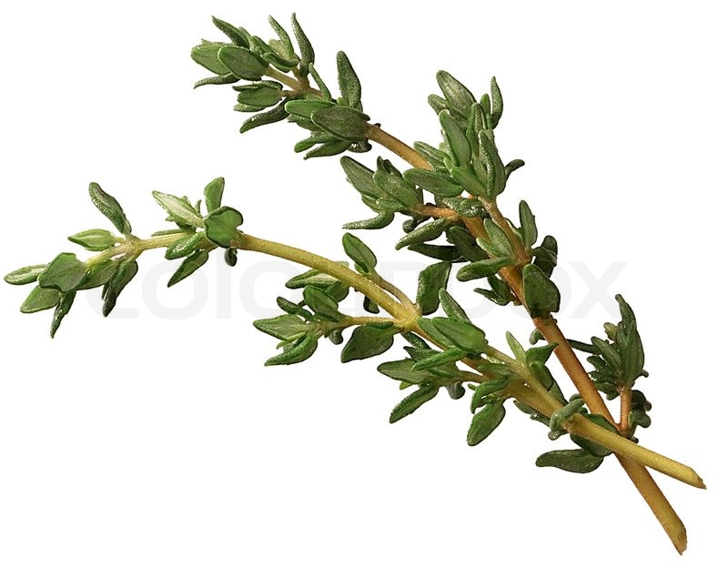 What Is a Sprig of Thyme?, Cooking School