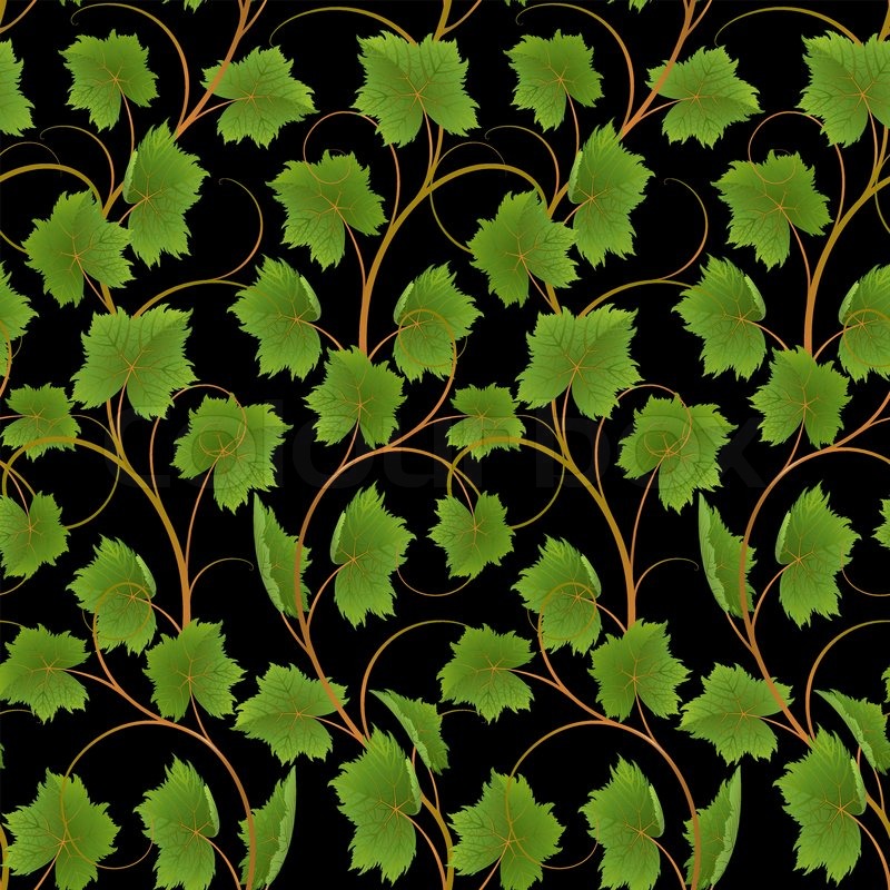 Seamless from vine on a black Stock vector Colourbox