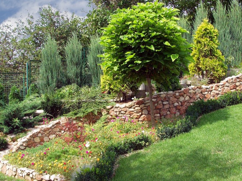 Garten, hübsch, park | Stockfoto | Colourbox