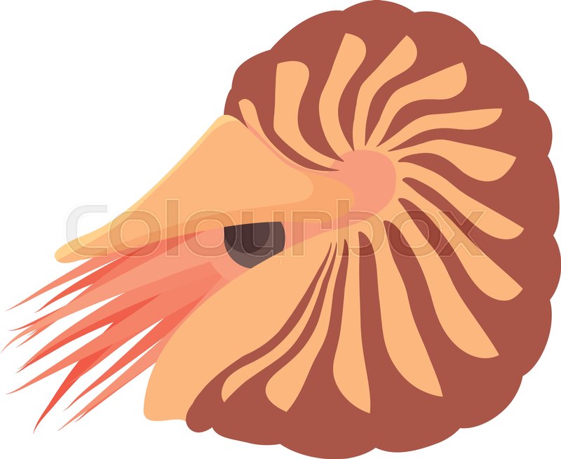 Clam Icon Cartoon Illustration Of Stock Vector Colourbox