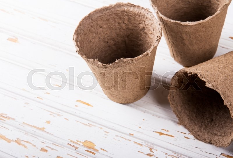 Garten, gärtnerin, potting | Stockfoto | Colourbox