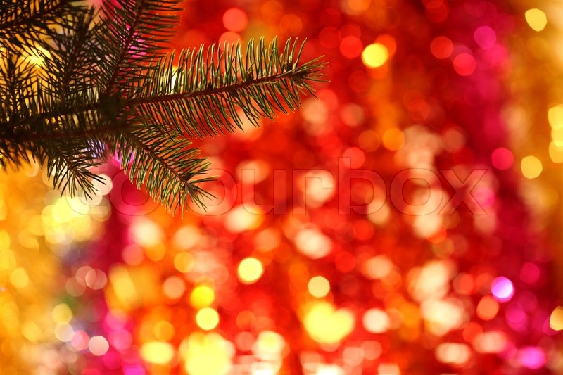 Branch of Christmas tree on colorful blurred background | Stock Photo