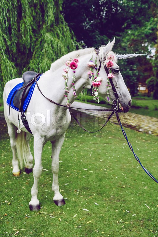 horse dressed up as a unicorn