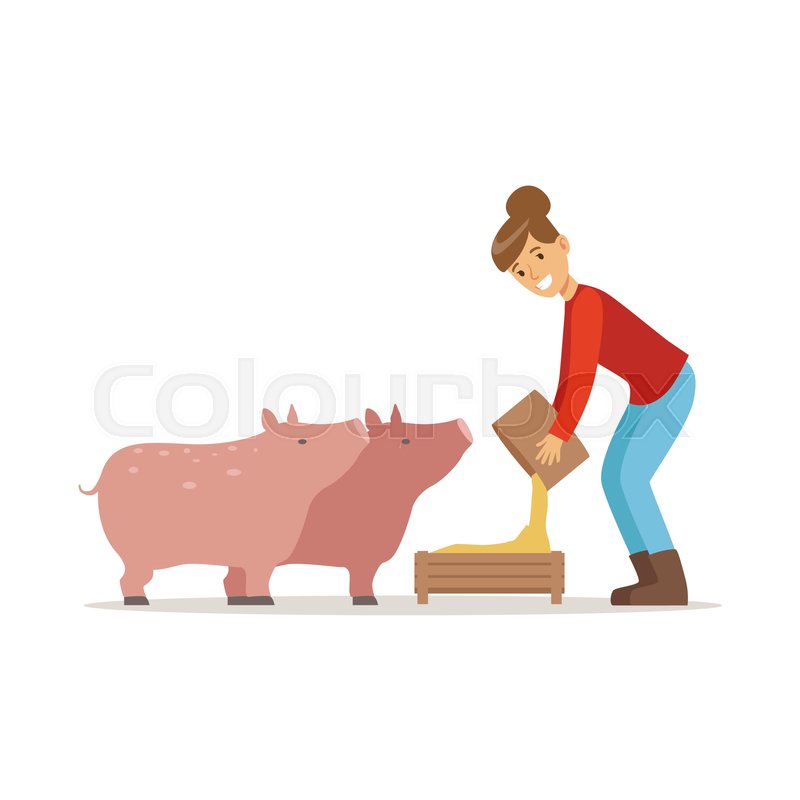 Farmer Woman Feeding Pigs Farming And Stock Vector Colourbox