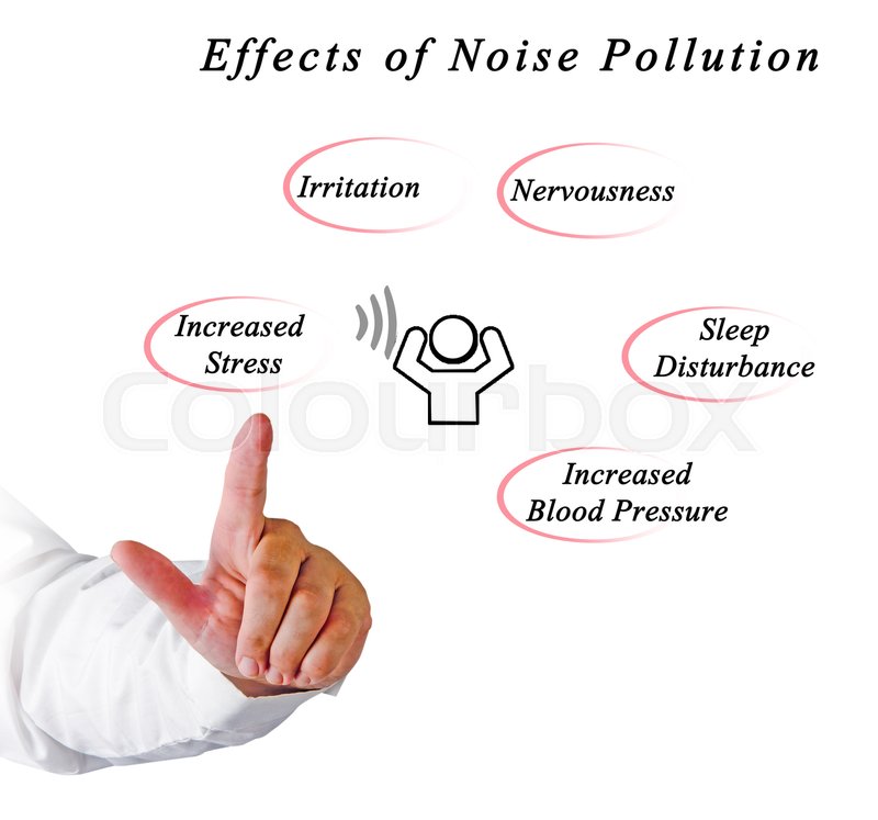 holi noise pollution causes