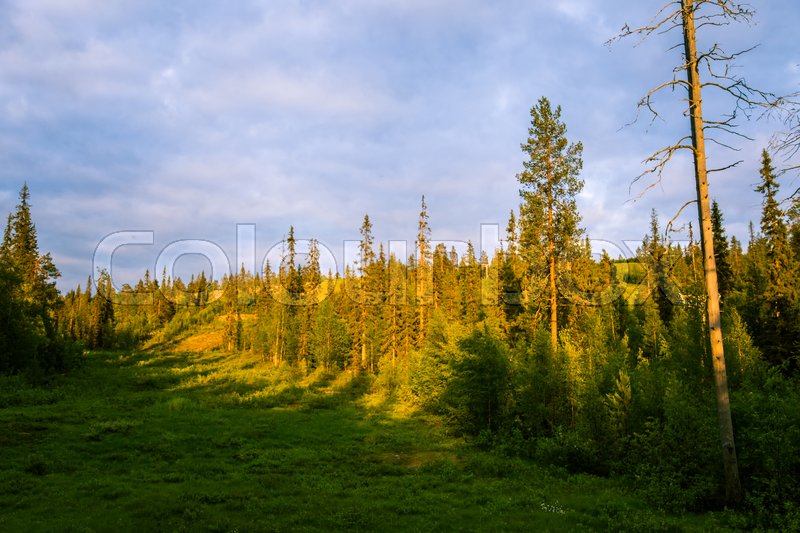 Copyright Free Photos Of Finnish Nature To Use Copyright Free Photos Of Finnish Nature To Use