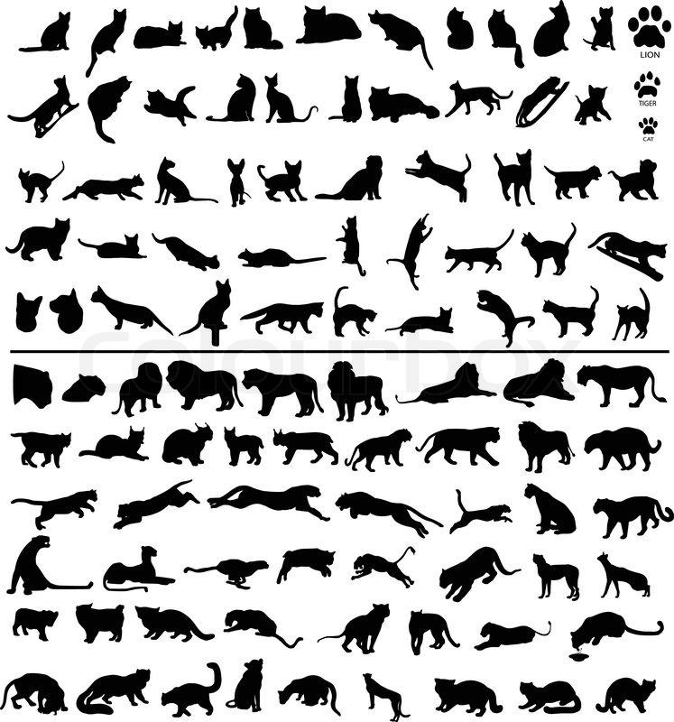 100 Silhouetten von großen und kleinen Katzen | Vektorgrafik | Colourbox