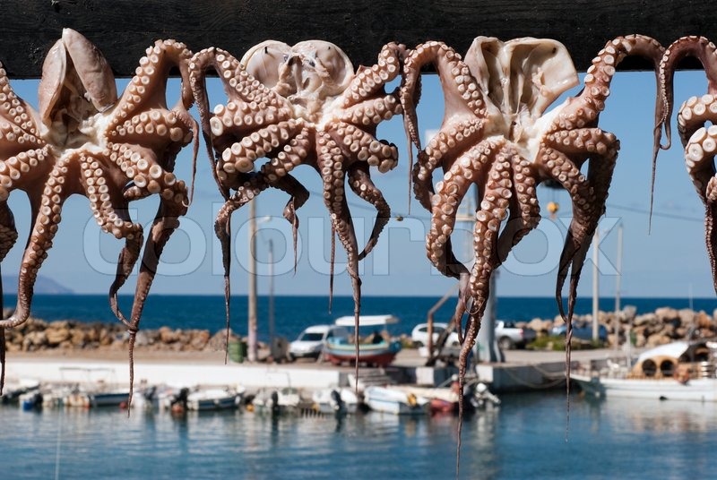 chania grækenland chania grækenland