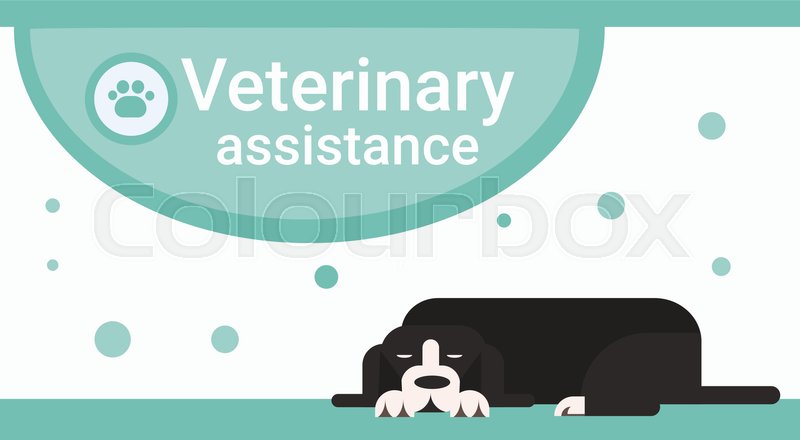 Veterinary Assistance Clinic For Animals Pets Vet Service Banner