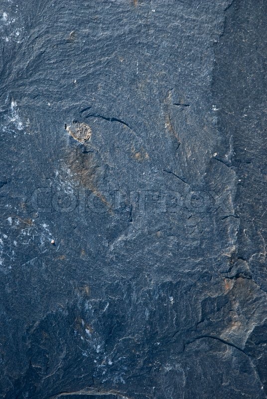 A background texture of shale rock | Stock image | Colourbox