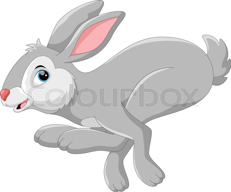 Running Rabbit Vector