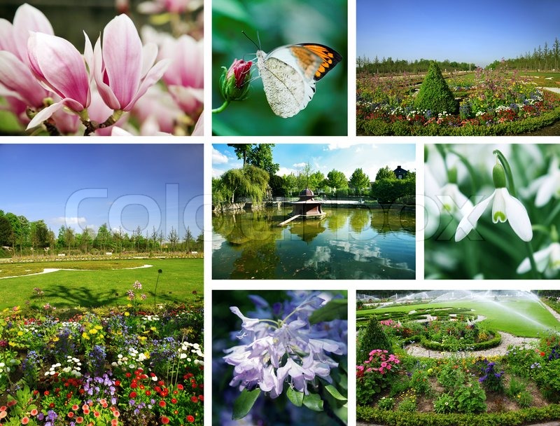 Collage of different gardens and | Stock image | Colourbox