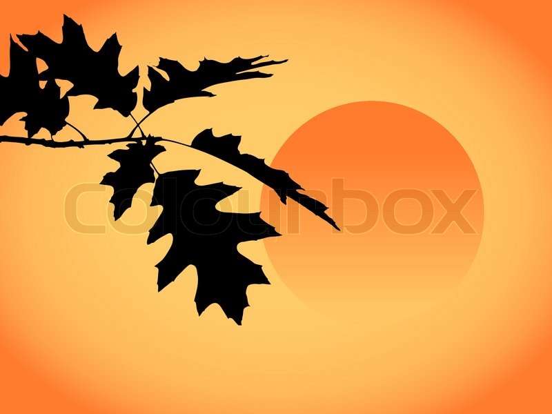 Fall leaves as autumn background | Stock vector | Colourbox