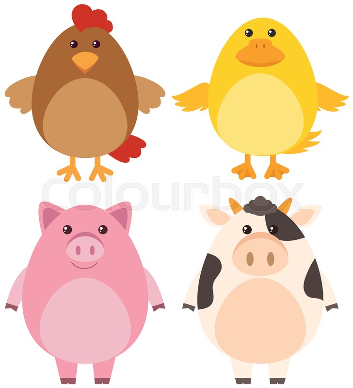 four different kinds of