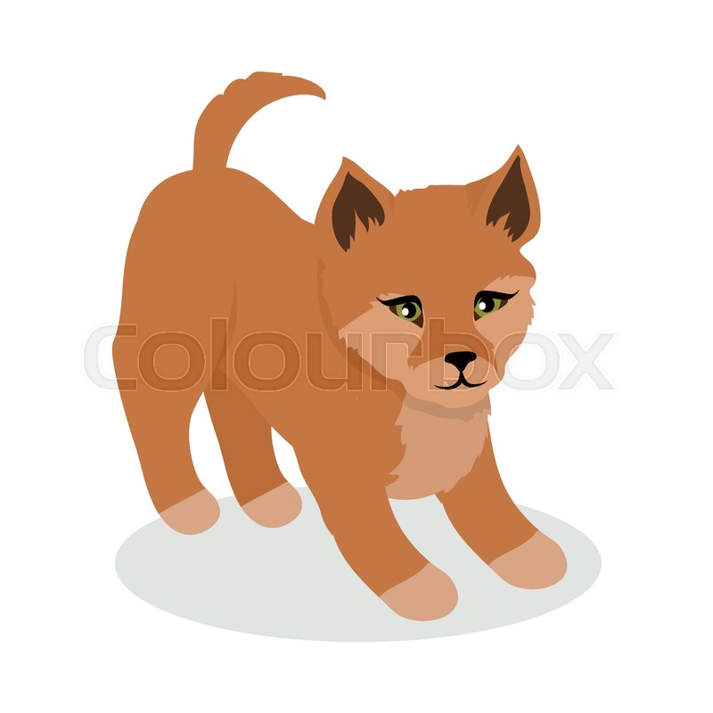 Dingo Cartoon Character Wild Dingo Stock Vector Colourbox