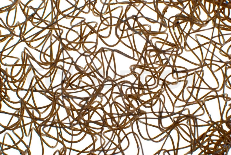 Golden wire mesh background isolated on | Stock Photo | Colourbox
