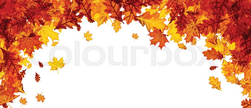 Autumn Banner With Golden Maple And Stock Vector Colourbox