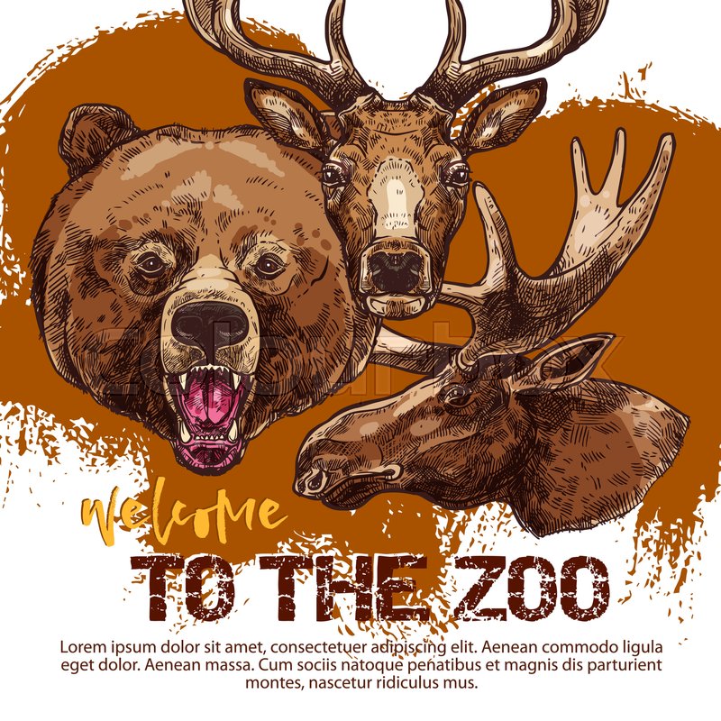 zoo banner with animal sketches heads of roaring bear deer and elk