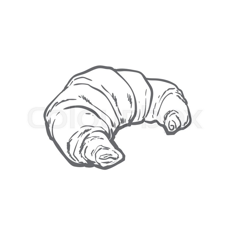 Stock Vector Of Sketch Fresh French Croissant Detailed Hand Drawn Isolated Illustration On Stock Vector Of Sketch Fresh French Croissant Detailed Hand Drawn Isolated Illustration On