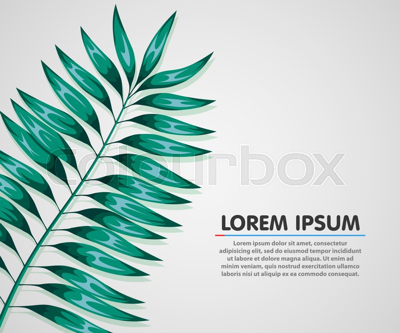 summer background poster with palm leaf vector illustration