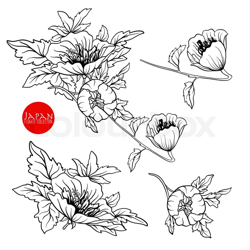 flowers on branch stock