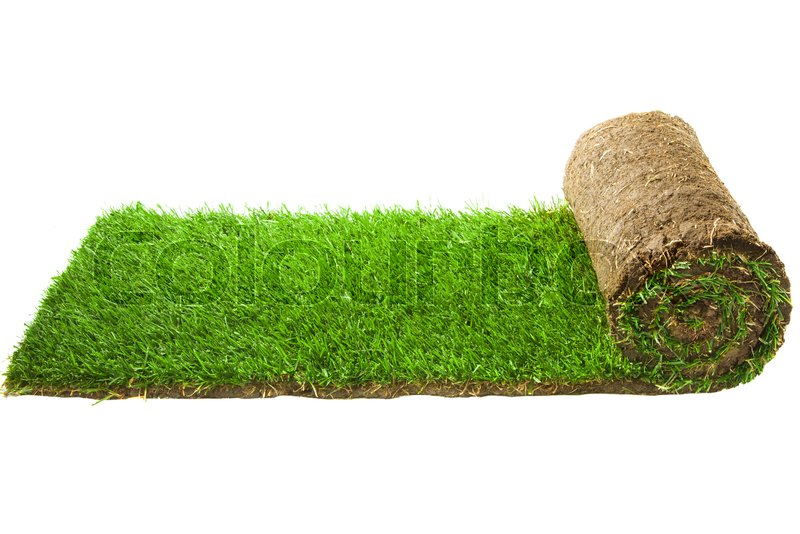 Carpet Grass Roll