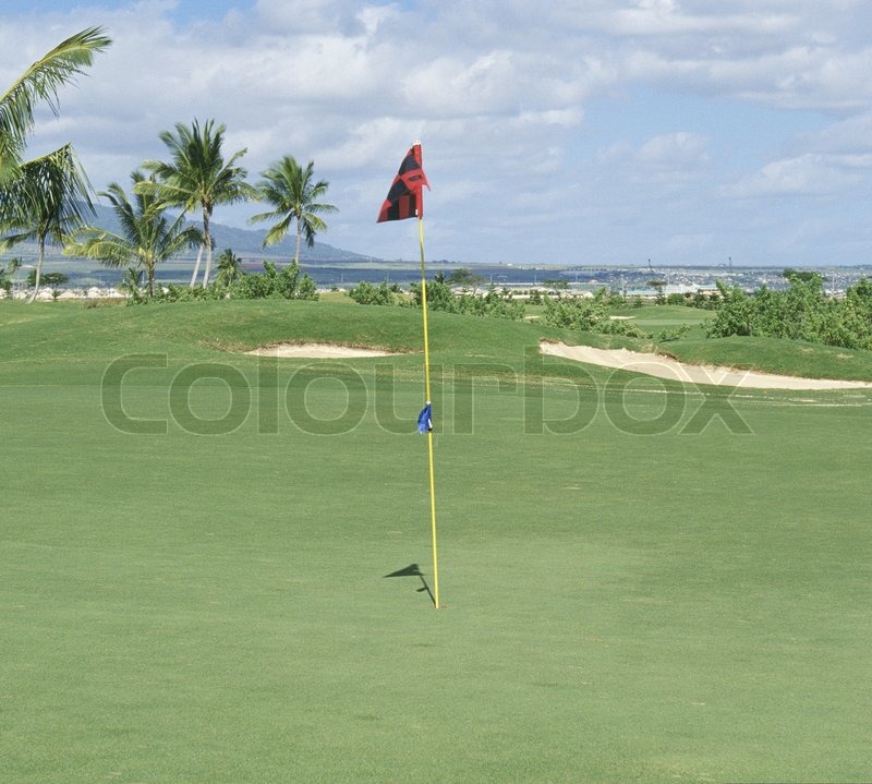 Golf course with flag Stock image Colourbox
