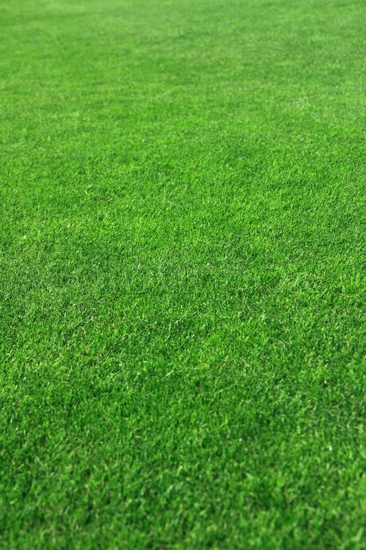 golf grass texture