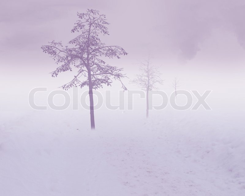 Image of white snow tree on a white | Stock Photo | Colourbox