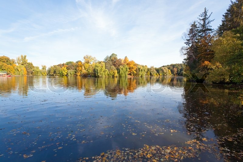 Pond water surface with reflection of ... | Stock image | Colourbox