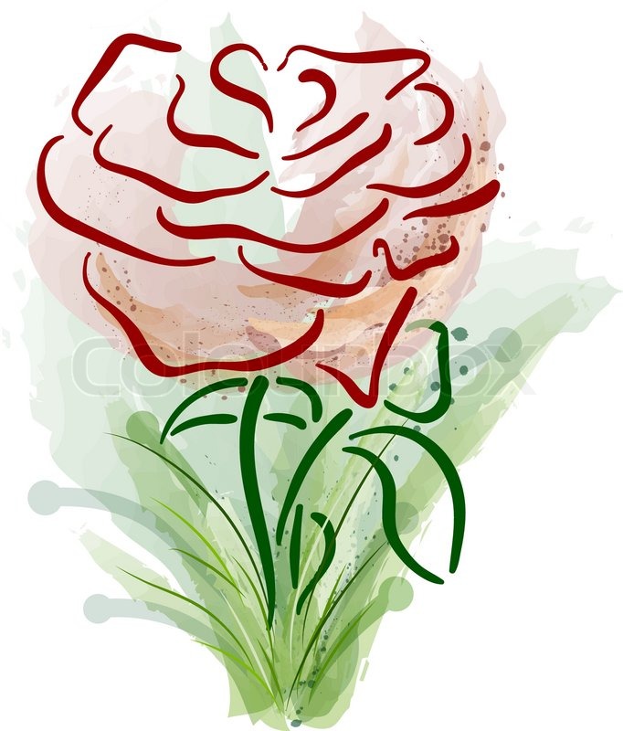 Abstract rose on the white Stock Vector Colourbox