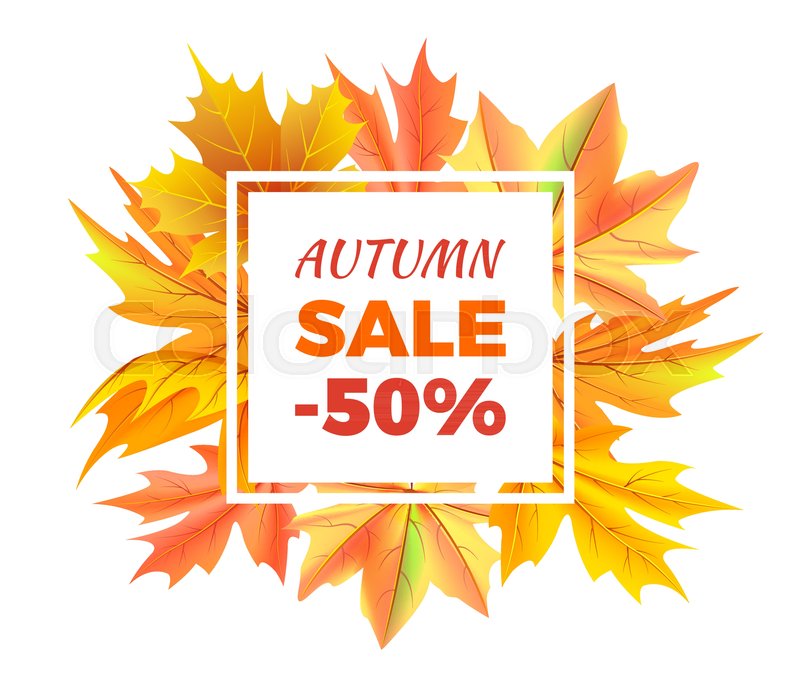 autumn sale 50 off