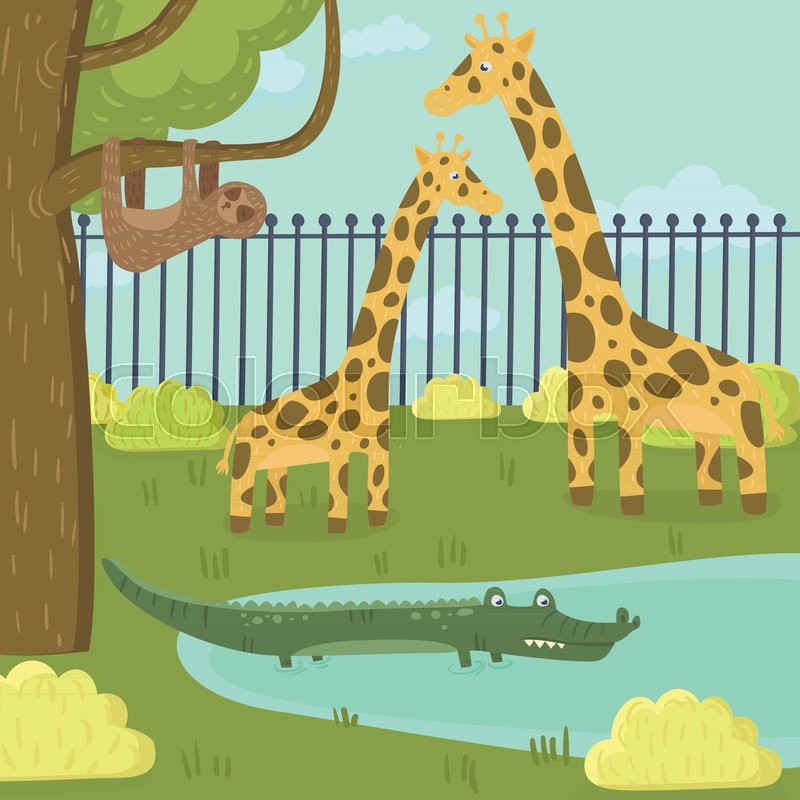 Cartoon Zoo Animals Giraffe