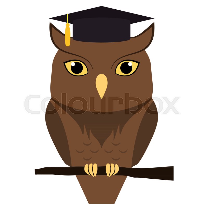 cute owl with graduation hat on head isolated on white vector flat