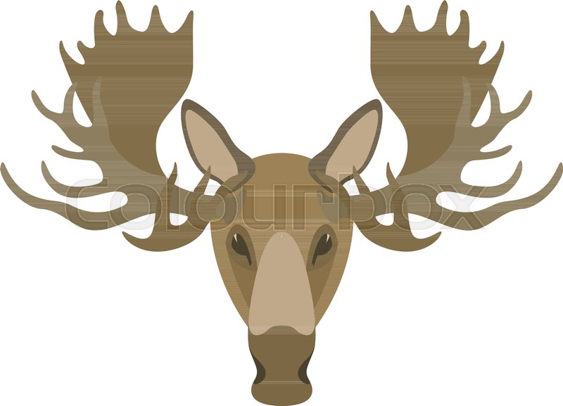 Moose head vector illustration flat ... | Stock vector | Colourbox