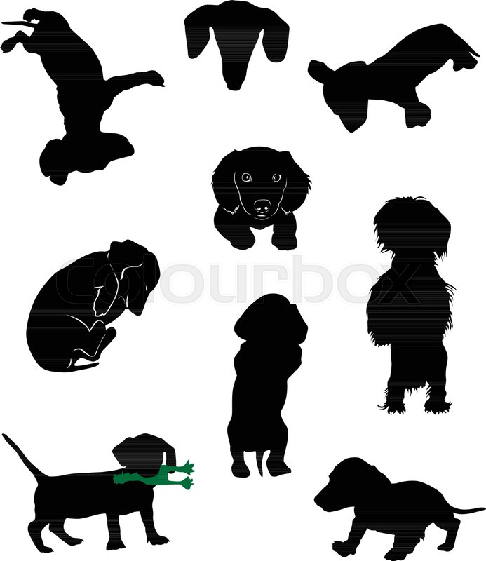 Silhouettes Of Dachshunds Vector Stock Vector Colourbox