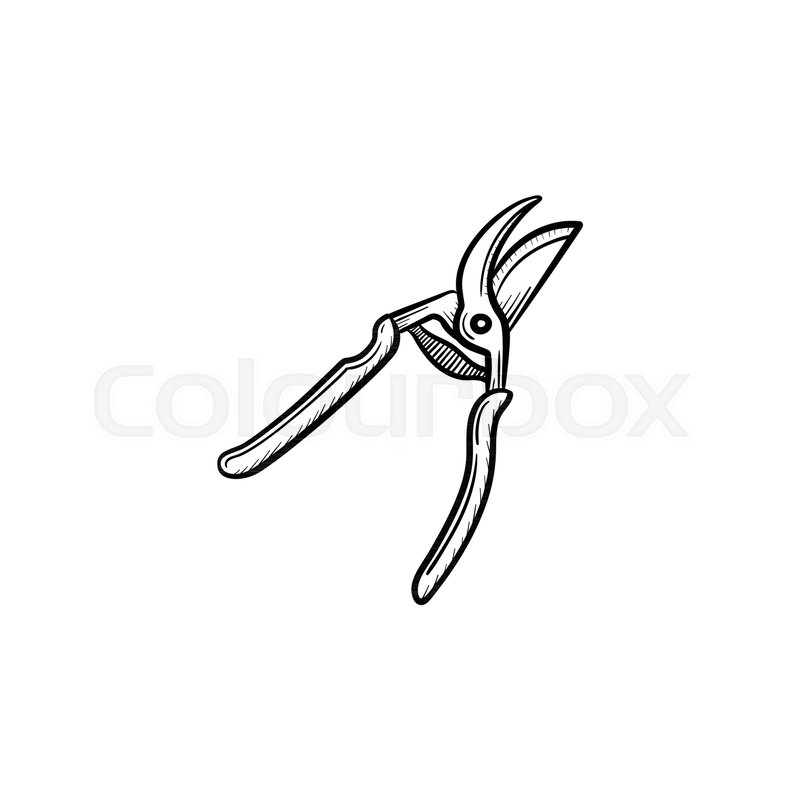 Vector hand drawn Garden pruner Stock vector Colourbox
