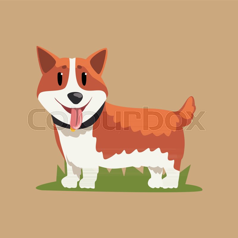 Funny Red Haired Welsh Corgi Standing Stock Vector Colourbox