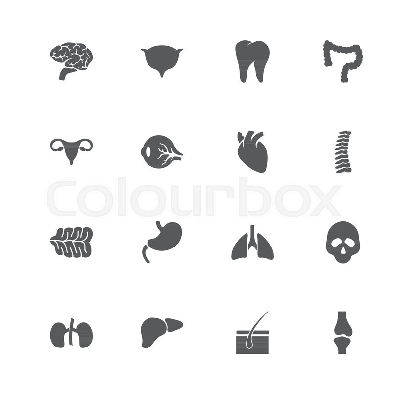 Organs icons. Perfect black pictogram ... | Stock vector | Colourbox