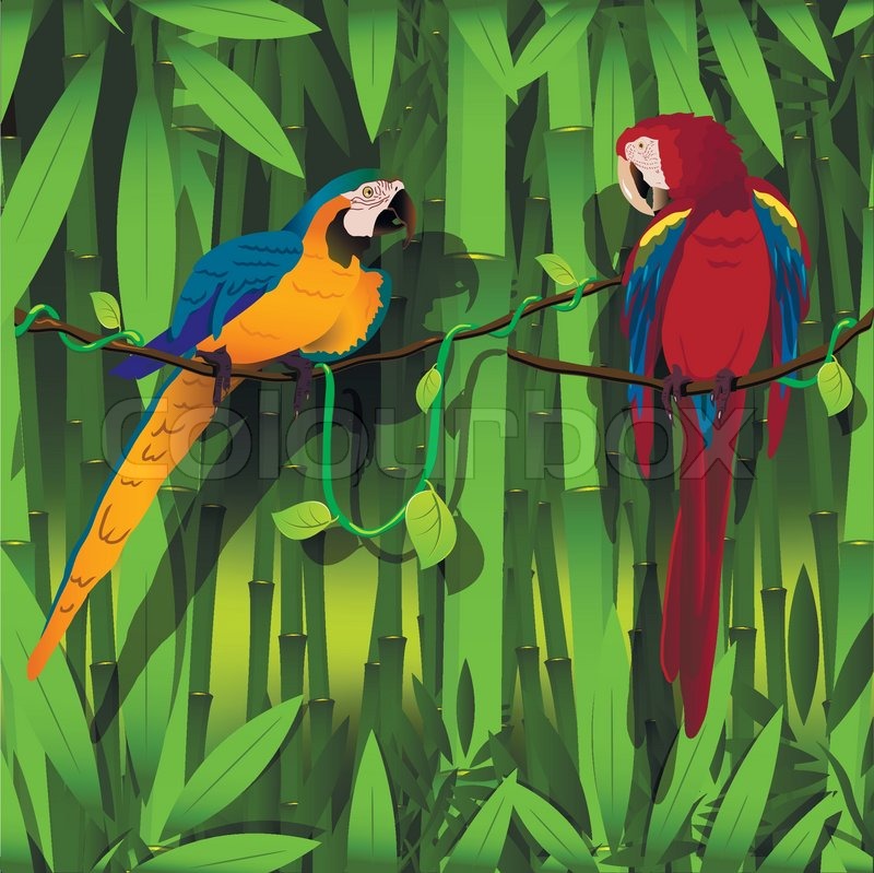 Illustration, zwei helle Papagei auf | Stock-Vektor | Colourbox