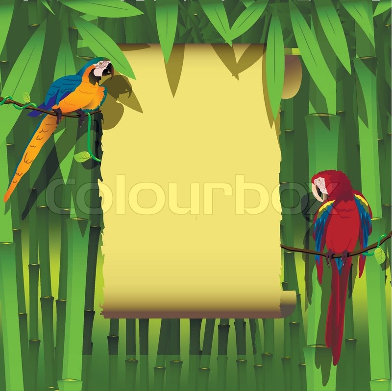 Illustration, zwei helle Papagei auf | Stock-Vektor | Colourbox