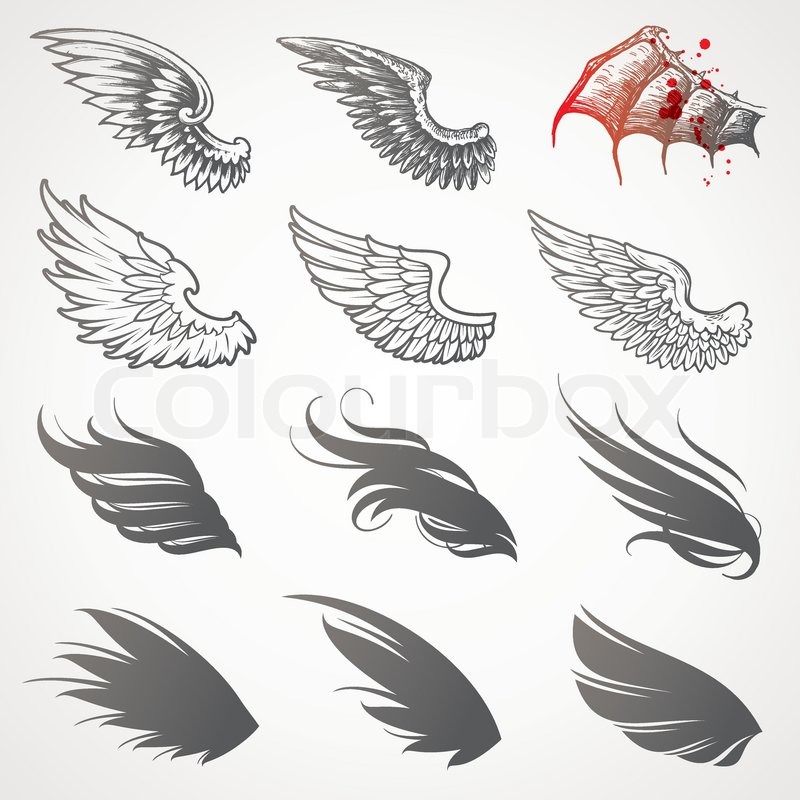 Vector set of wings | Stock vector | Colourbox