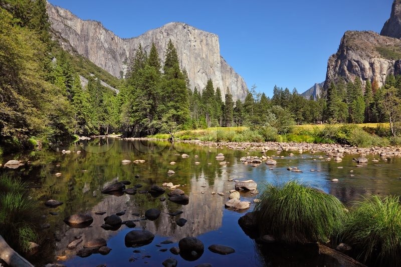 the famous valley of the merced river in yosemite stock the famous valley of the merced river in yosemite stock