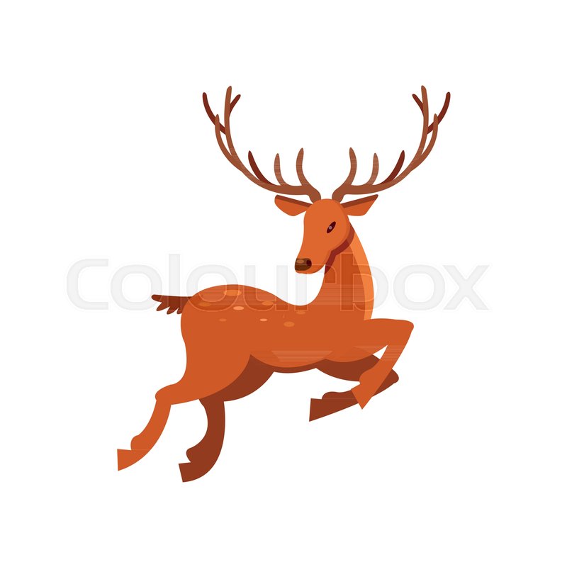 Brown Spotted Deer With Antlers Stock Vector Colourbox