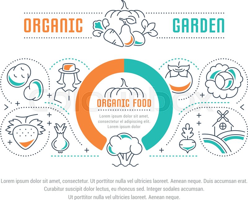 Line Illustration Of Organic Food Stock Vector Colourbox